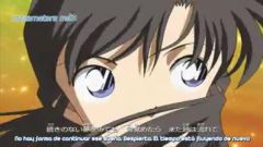 Detective Conan
