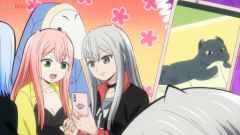 Kawaisugi Crisis